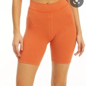 Seamless Bike Shorts (2x/3x)